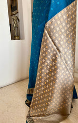 RASMI - BLUE POCHAMPALLY SILK SAREE WITH IKAT MOTIFS