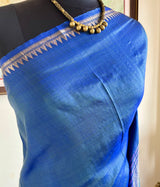 VINUSHA — LIGHTWEIGHT KANJIVARAM WITH ZARI TEMPLES AND STRIPED AANCHAL
