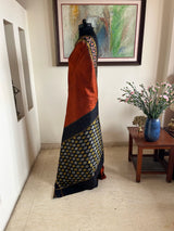 TRISHITA- EARTHY POCHAMPALLY WITH GRAPHIC IKKAT CONTRASTS