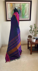 SRAVANI - SHOT KANJIVARAM SILK IN VIBRANT CONTRASTS