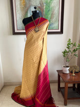 SARUNAYA – KATTAM KANJIVARAM SILK SAREE IN GOLDEN BEIGE