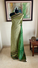DEBANJALI – PISTA GREEN SAMBALPURI WITH STUNNING BANDHA AANCHAL