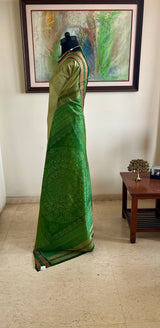 DEBANJALI – PISTA GREEN SAMBALPURI WITH STUNNING BANDHA AANCHAL