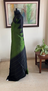BAGESHARI – A GREEN KANJIVARAM SILK WITH BOLD CONTRASTS