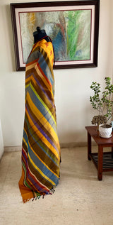 AHRINI – CONTEMPORARY KANJIVARAM SILK IN VIBRANT STRIPES