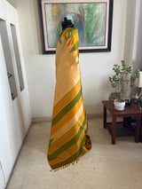 ARYASHREE – GOLDEN KANJIVARAM FRAMED BY COLOURFUL TEMPLE MOTIFS