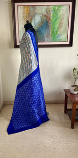 SERA – DIAMOND-WOVEN PUTAPAKKA IKKAT WITH VIBRANT AANCHAL