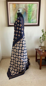TIYANSHI – BLACK DOUBLE IKKAT POCHAMPALLY WITH ANTIQUE ZARI