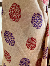 ASHWIKA – TUSSAR SILK IN BEIGE WITH FLORAL CHEVRON DETAILING