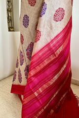 ASHWIKA – TUSSAR SILK IN BEIGE WITH FLORAL CHEVRON DETAILING