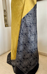 SEVITHA- POCHAMPALLY SILK IN BEIGISH GREEN WITH BOLD BLACK AANCHAL