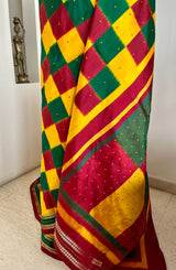 TANUVI – TIMELESS POCHAMPALLY IN VIBRANT HUES