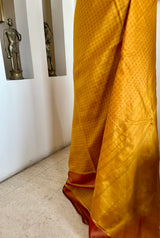 ADYASHREE - MUSTARD KANJIVARAM SILK SAREE WITH ZARI BORDER
