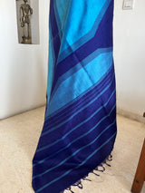 MANJUL — BLUE KANJIVARAM WITH REVERSIBLE WEAVE