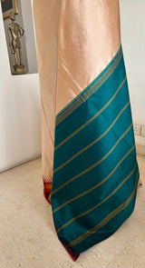 VIBUSHA — 2-IN-1 KANJIVARAM, TWO COLOUR STORIES