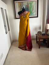 RIDHIRA – MUSTARD PATOLA WITH ELABORATE IKKAT AANCHAL