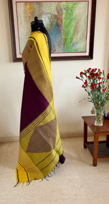 ANICHAM – A KANJIVARAM SILK WITH DISTINCTIVE COLOURS AND DETAILS