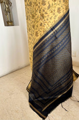 ROCHIKA – BLOCK-PRINTED POCHAMPALLY WITH A STRIKING AANCHAL