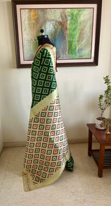 ANUPREETHA – SIGNATURE DOUBLE IKKAT POCHAMPALLY WITH BOLD COLOUR PLAY