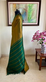 MEENAJA - GREENISH GOLD KANJIVARAM WITH TEMPLE MOTIF BORDER