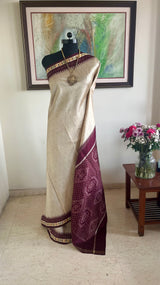 AMALIKA - BEIGE POCHAMPALLY SILK SAREE WITH IKAT BORDER