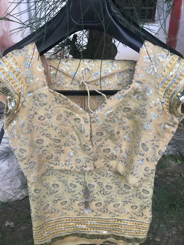SITARA- A BEIGE GEORGETTE WITH SEQUINS AS SMALLER MOTIFS IN THE BODY AND A MULTI-LINED TO FORM THE BORDER