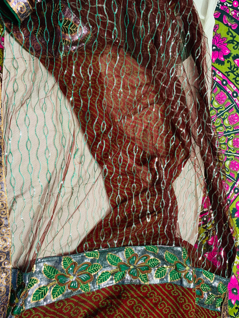 KARISHMA- A HALF BLENDED GEORGETTE BANDHANI IN RUST AND GREEN AND A NET IN MULTIPLE COLOURS